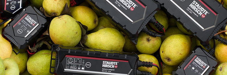 Staudte Hirsch charger series | the energy boost for your batteries