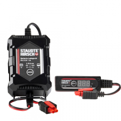 Savings set Staudte Hirsch 